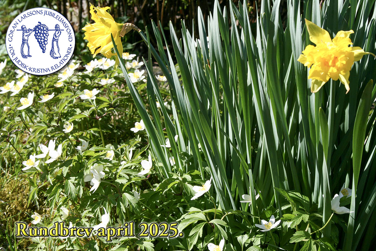 Vårblommor