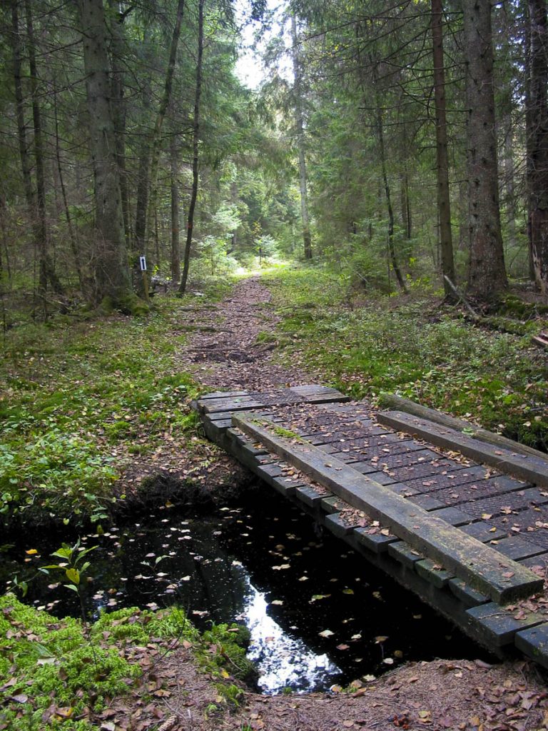 Tidig höst. (Bild: Björn Tellow ©)